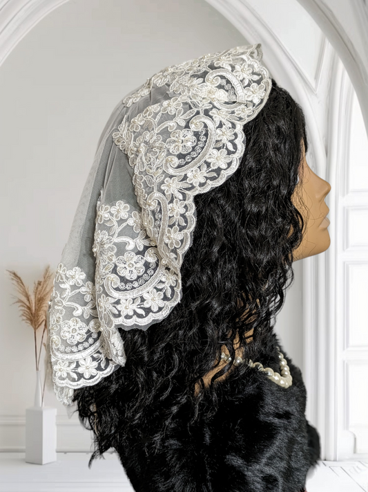 The Beatrice Veil